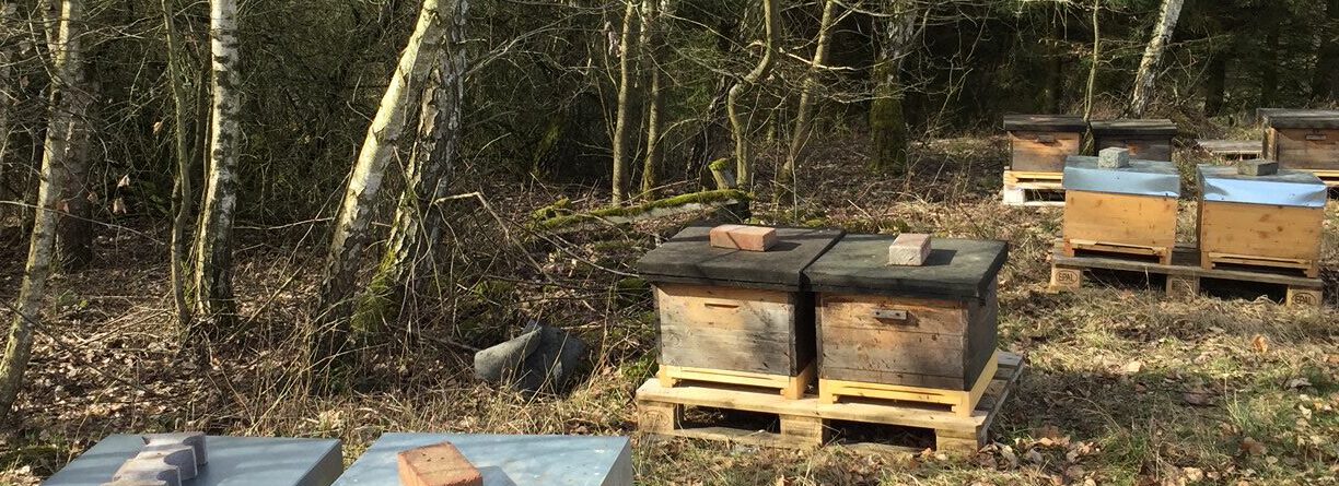 Der Bienenwerker