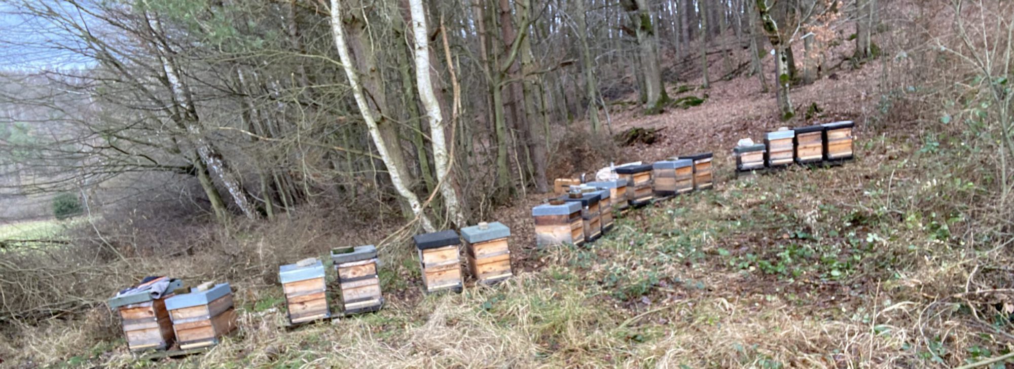 Der Bienenwerker
